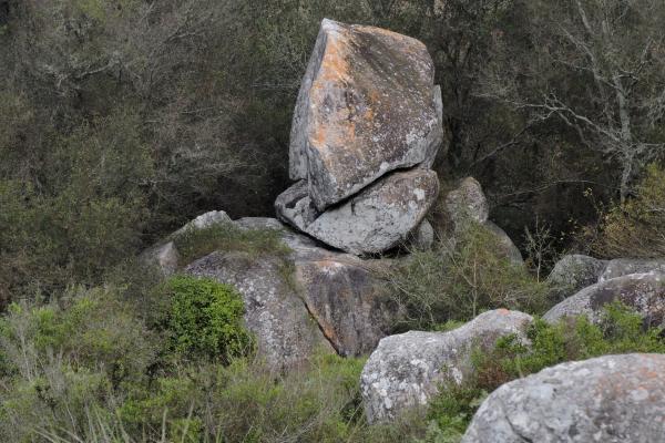Recursos naturales de Yucatán - Suelo