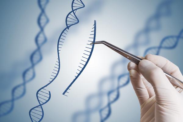 Mutaciones genéticas: ejemplos y definición - Qué son las mutaciones genéticas