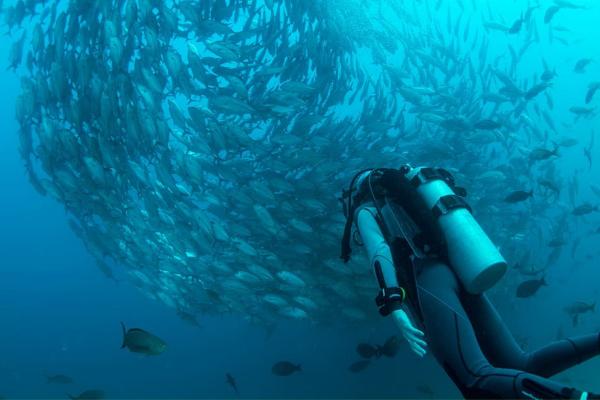 Oceanografía: définition e importancia - Qué es la oceanografía y qué estudia